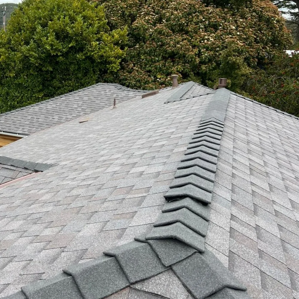 Slide of Marina Bay Roofing