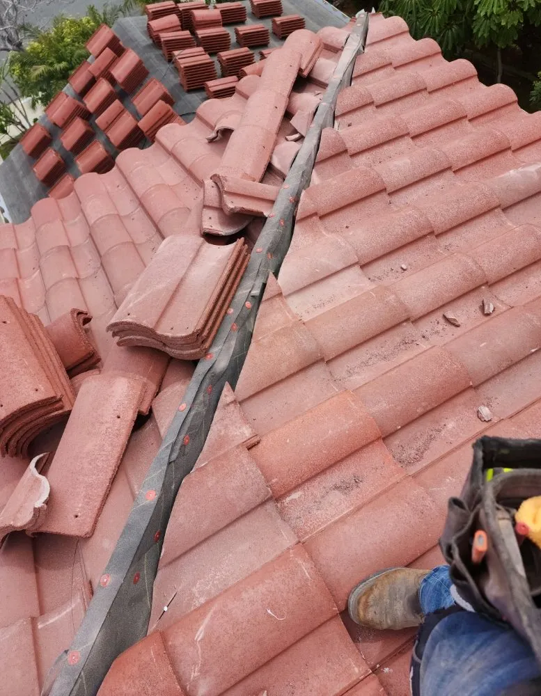 Slide of Mario Bees Gutter Cleaning and Roof Repair