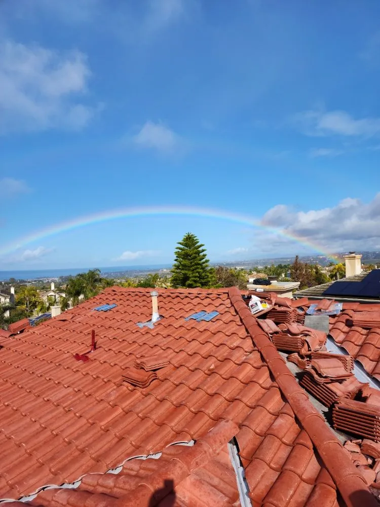 Slide of Mario Bees Gutter Cleaning and Roof Repair