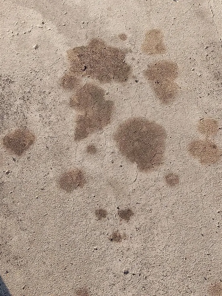 Slide of Marion Paving & Trucking