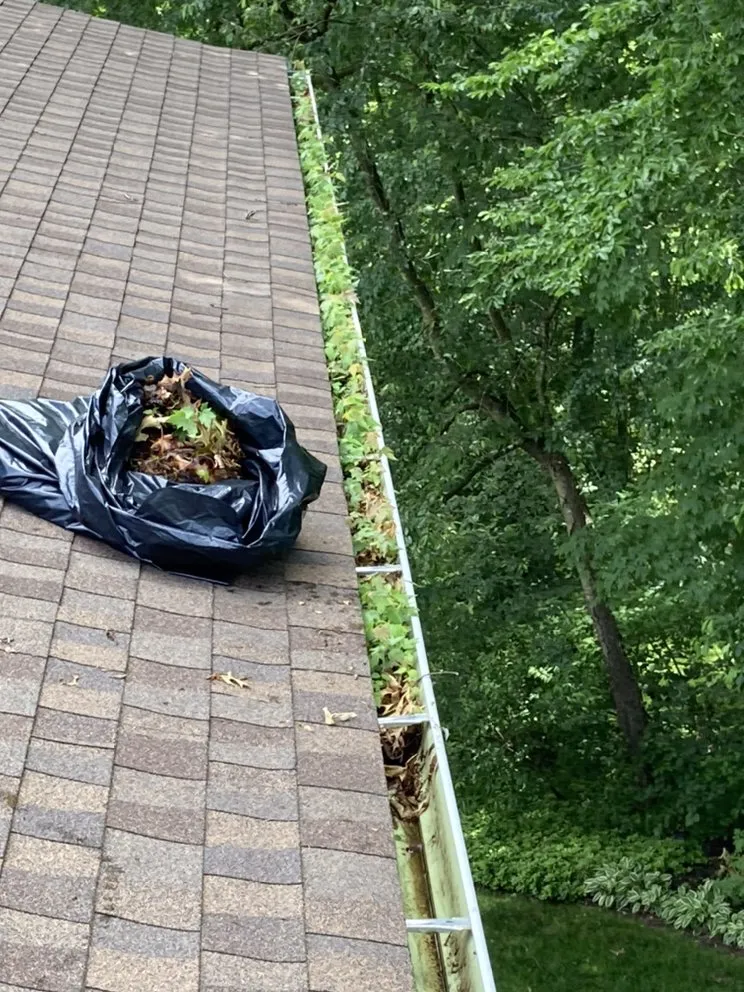 Slide of Mario's Handyman Service