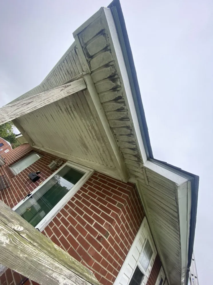 Local shingle roofing service in Kenansville, NC - Marios Pressure Washing and Gutter Cleaning