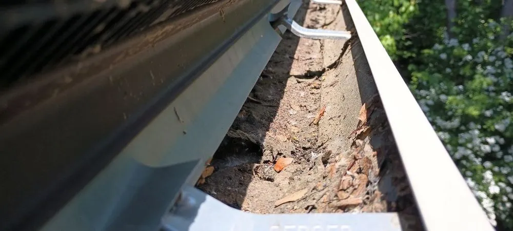 Slide of Mario's Roofing