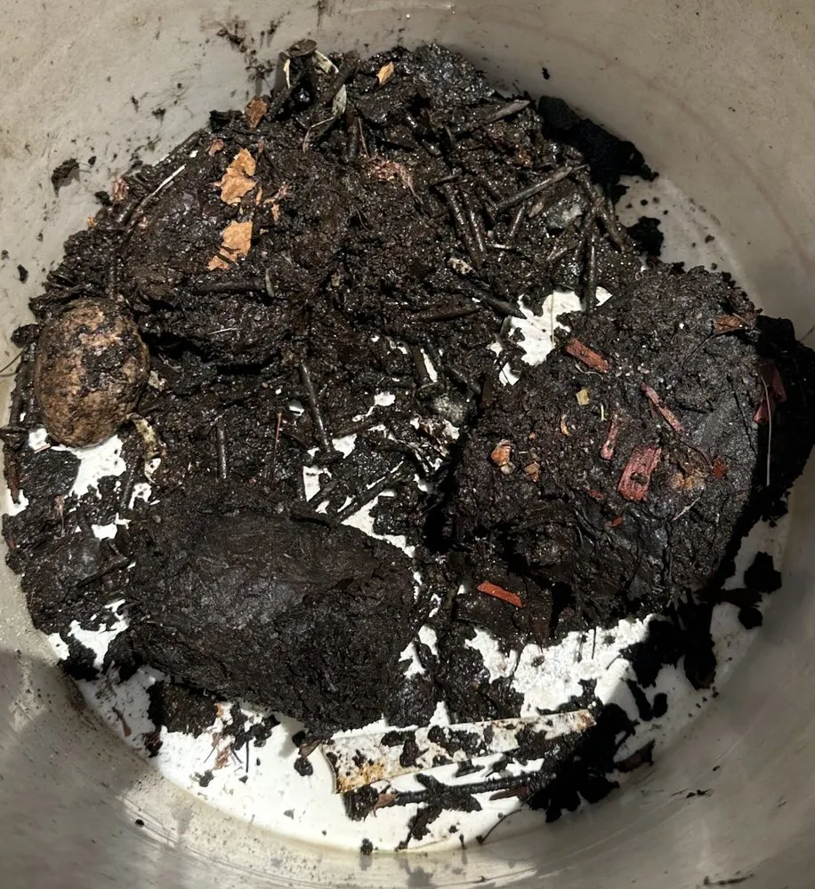 Slide of Mario's Roofing