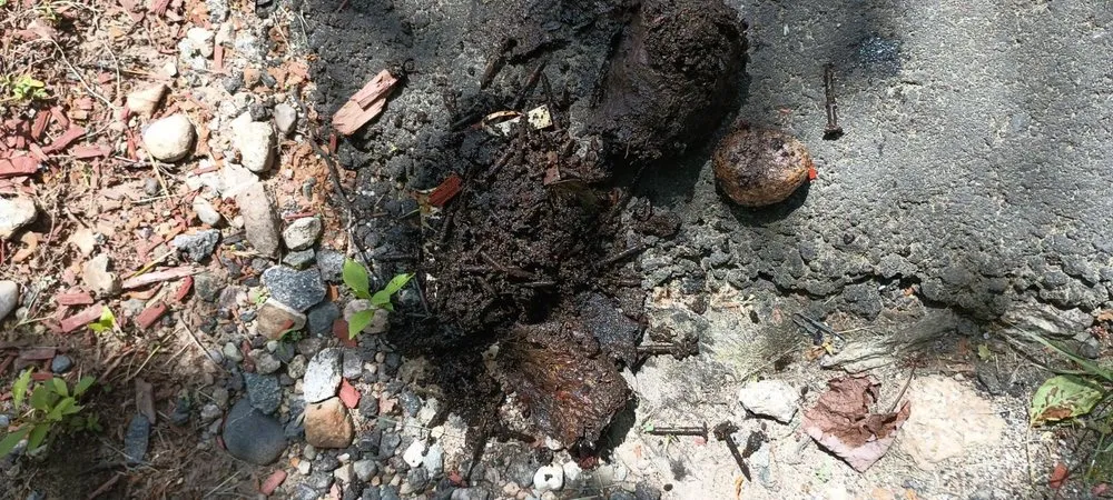 Slide of Mario's Roofing