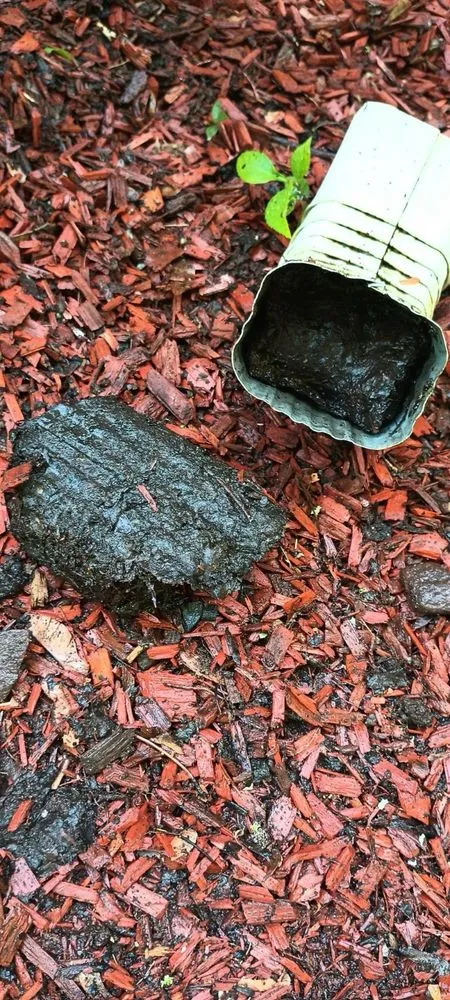 Slide of Mario's Roofing