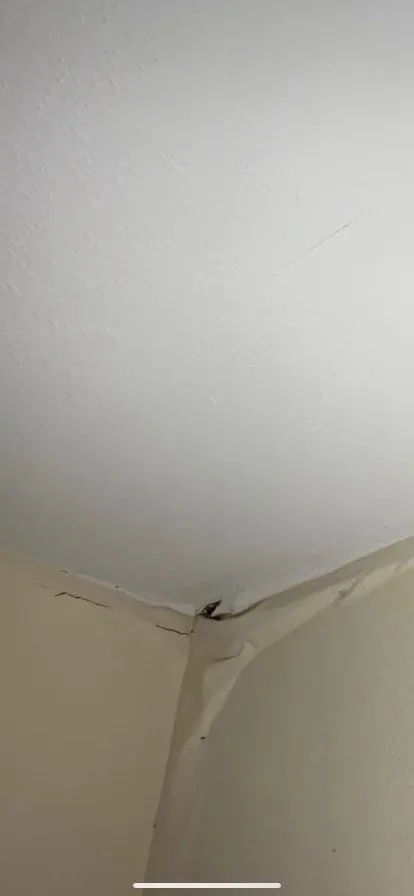 Slide of Mark Orman Construction