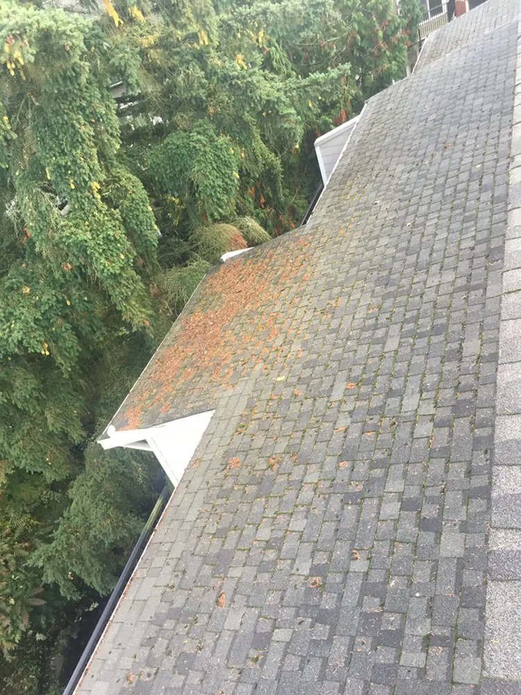 Slide of Marquez Roofing