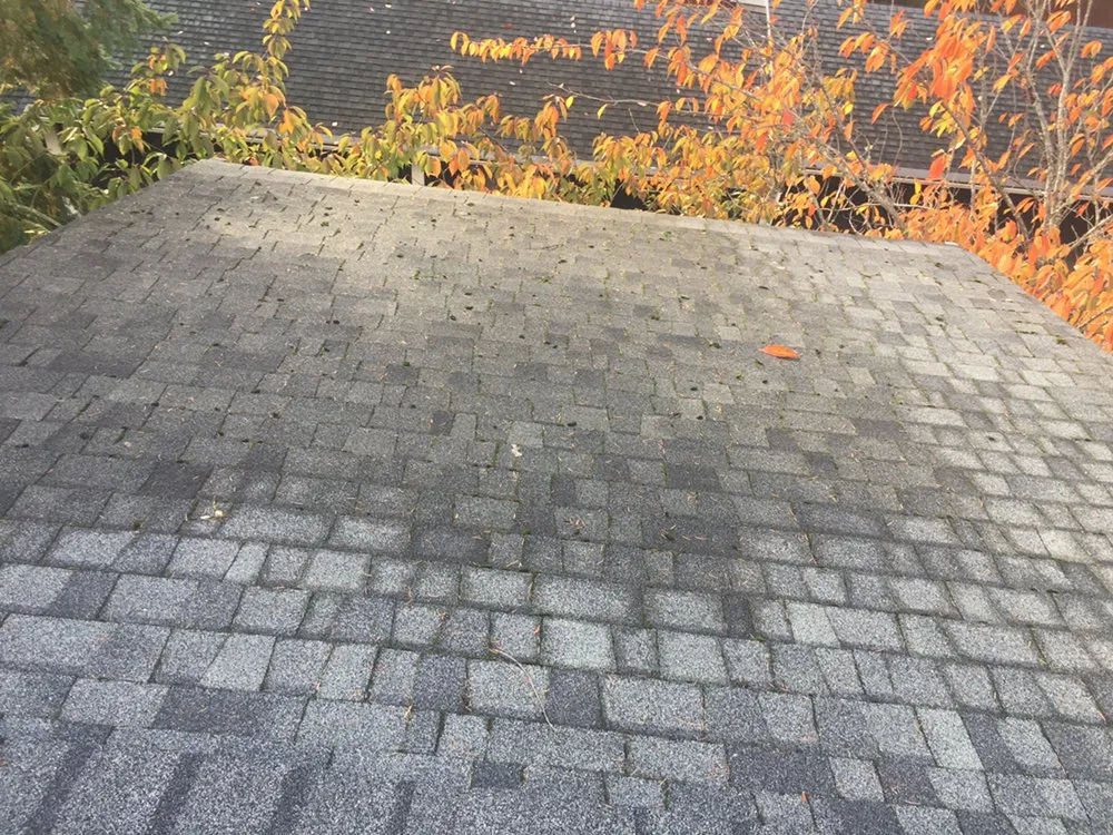 Slide of Marquez Roofing