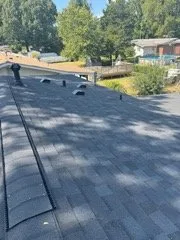 Slide of Martin & Sons