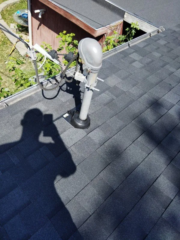 Slide of Martin & Sons