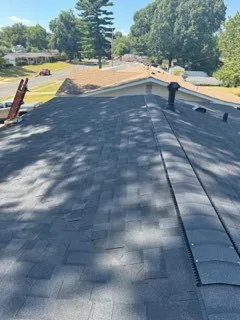 Slide of Martin & Sons