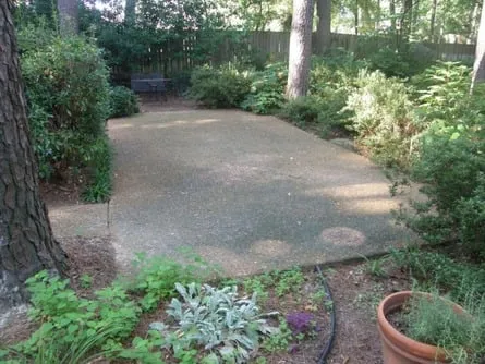 Slide of Martin Cleaning