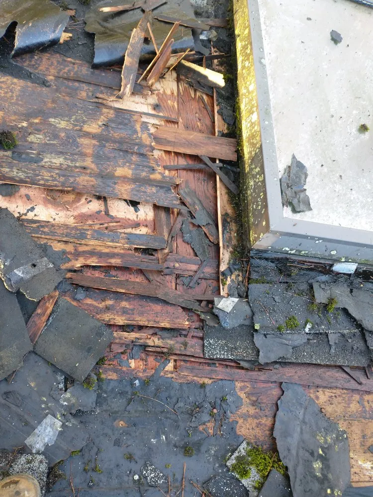 Slide of Martinez Landscaping