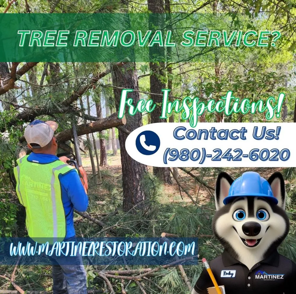 Slide of Martinez Restoration