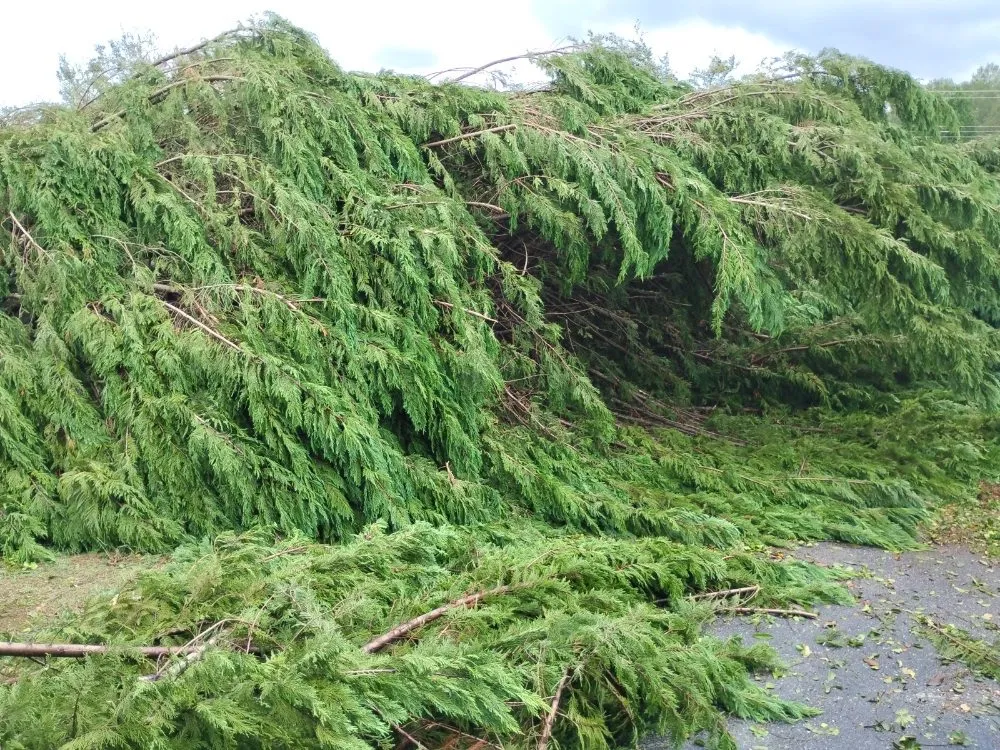 Slide of Mason Contracting