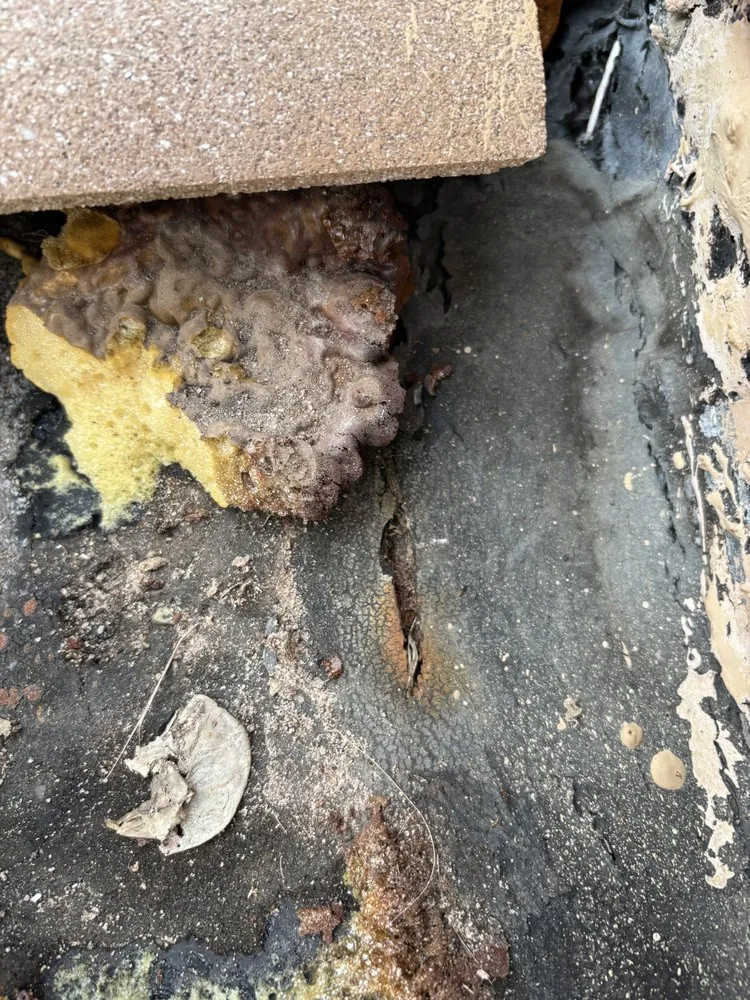 Slide of Mason Roofing