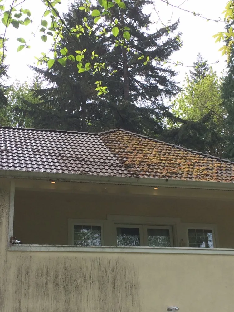 Slide of Mass & Mass