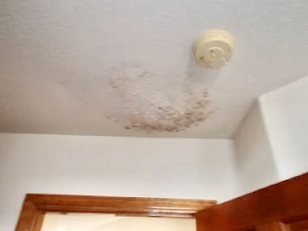 Slide of Master Leak Repair