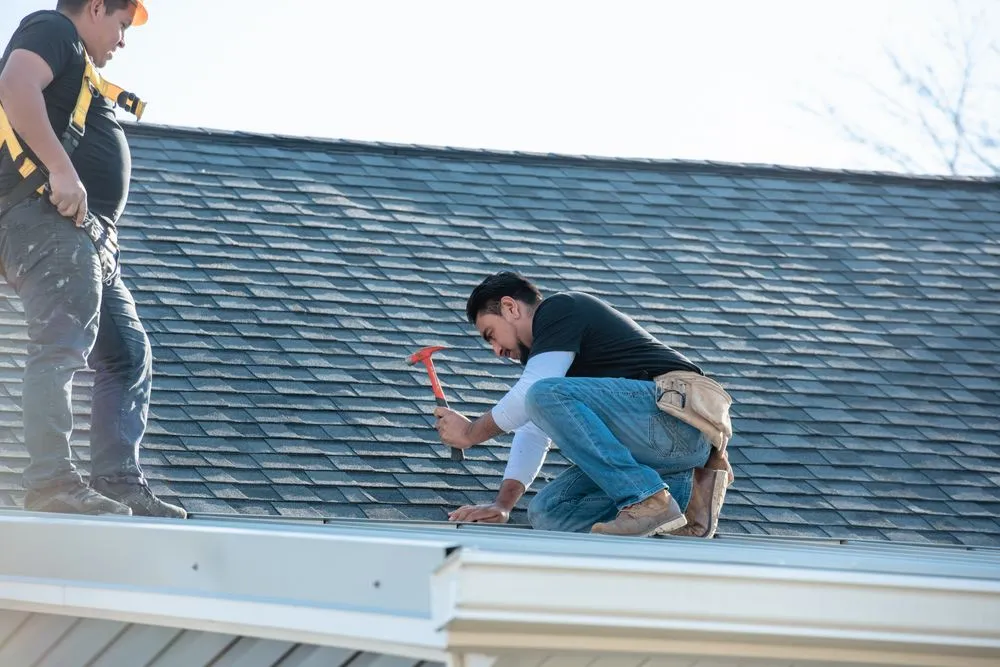 Slide of Master Pro Services