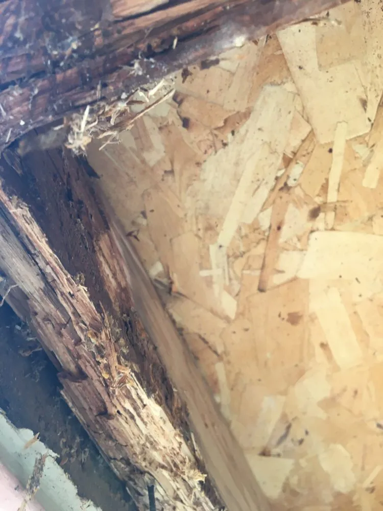 Slide of Master Roofing