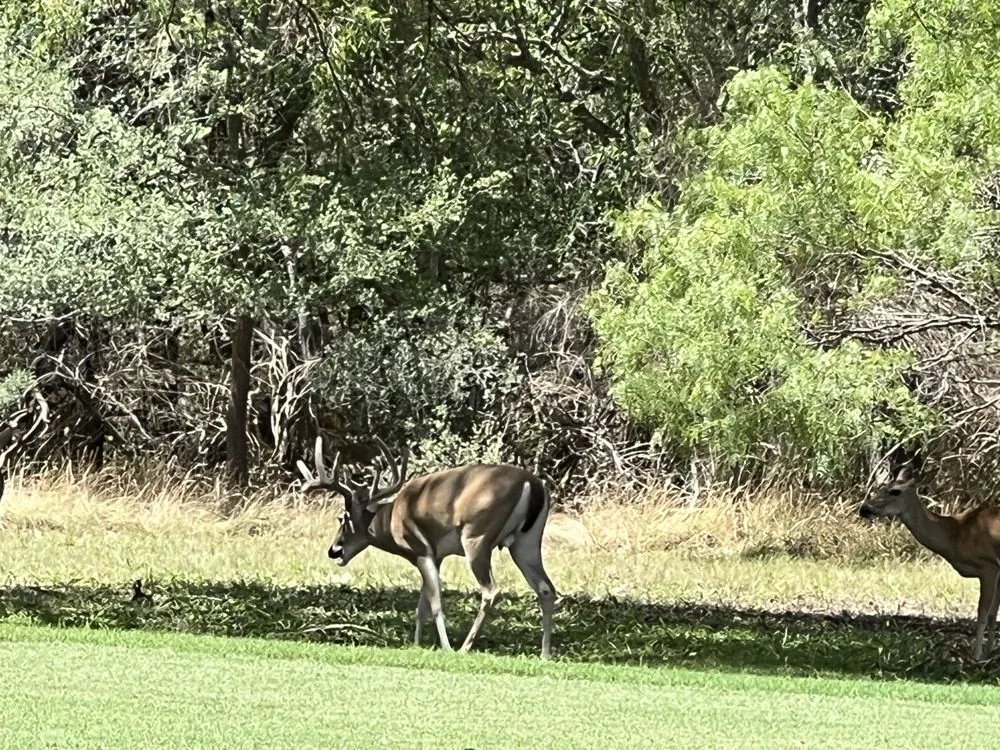 Slide of Masters Construction and Restoration