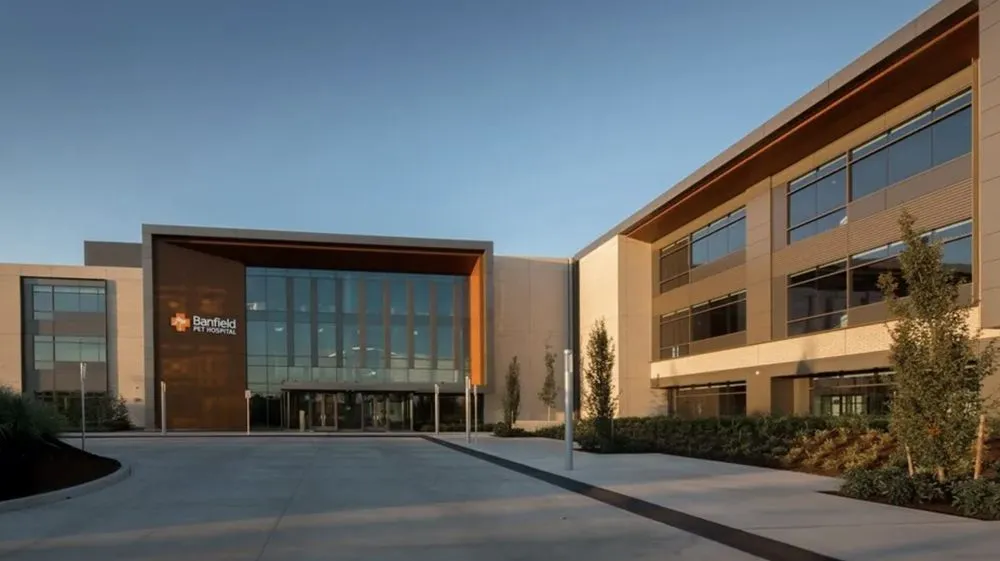 Slide of Masters Roofing