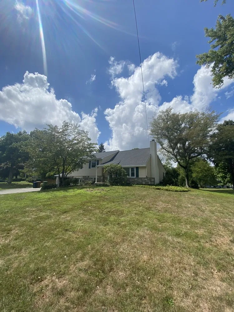 Slide of Mastroni Brothers