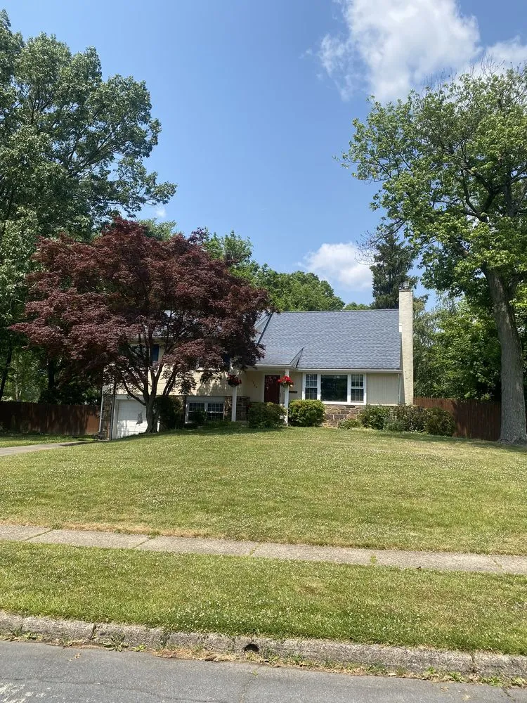 Slide of Mastroni Brothers