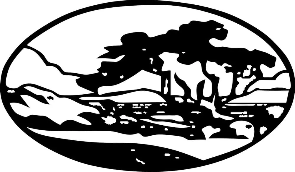 Slide of Masullo Improvements