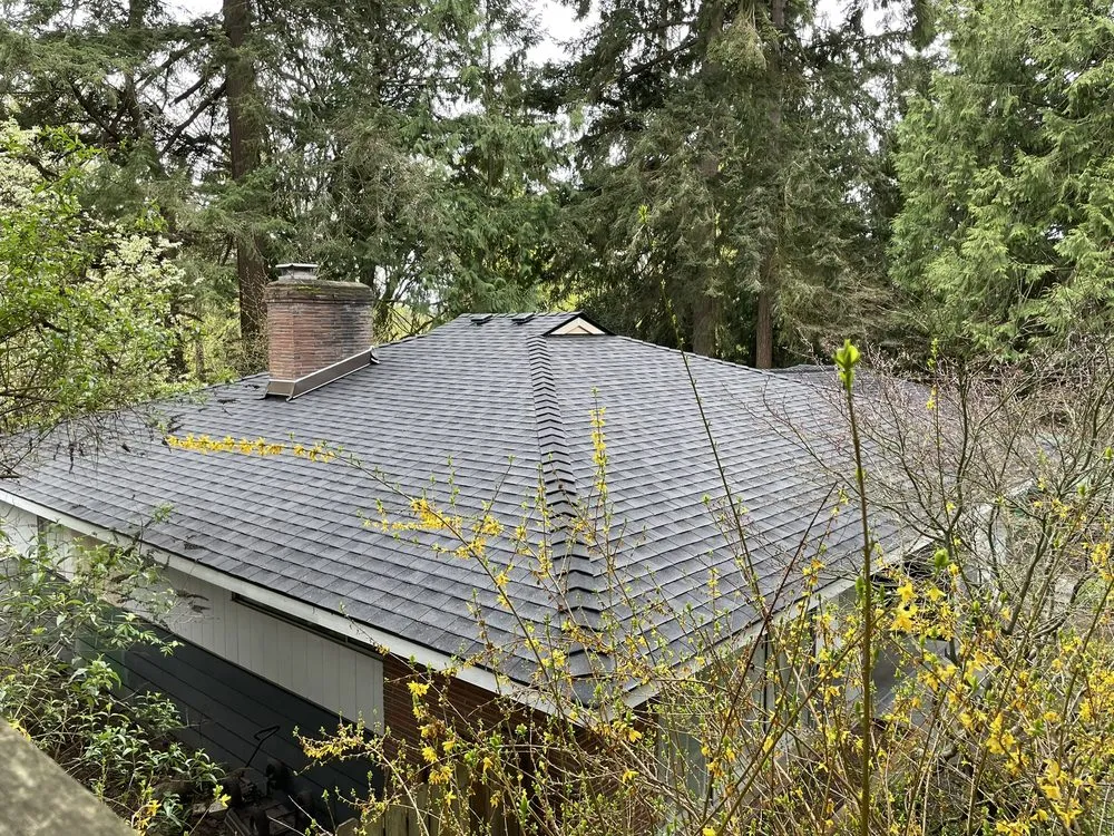 Slide of Mata's Roofing