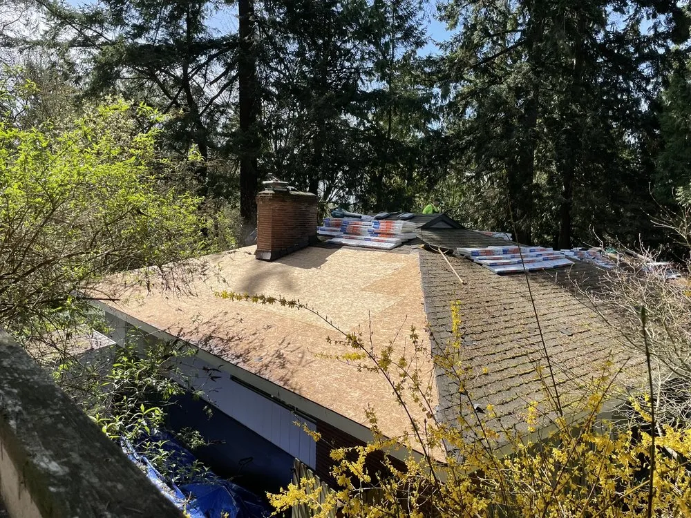 Slide of Mata's Roofing