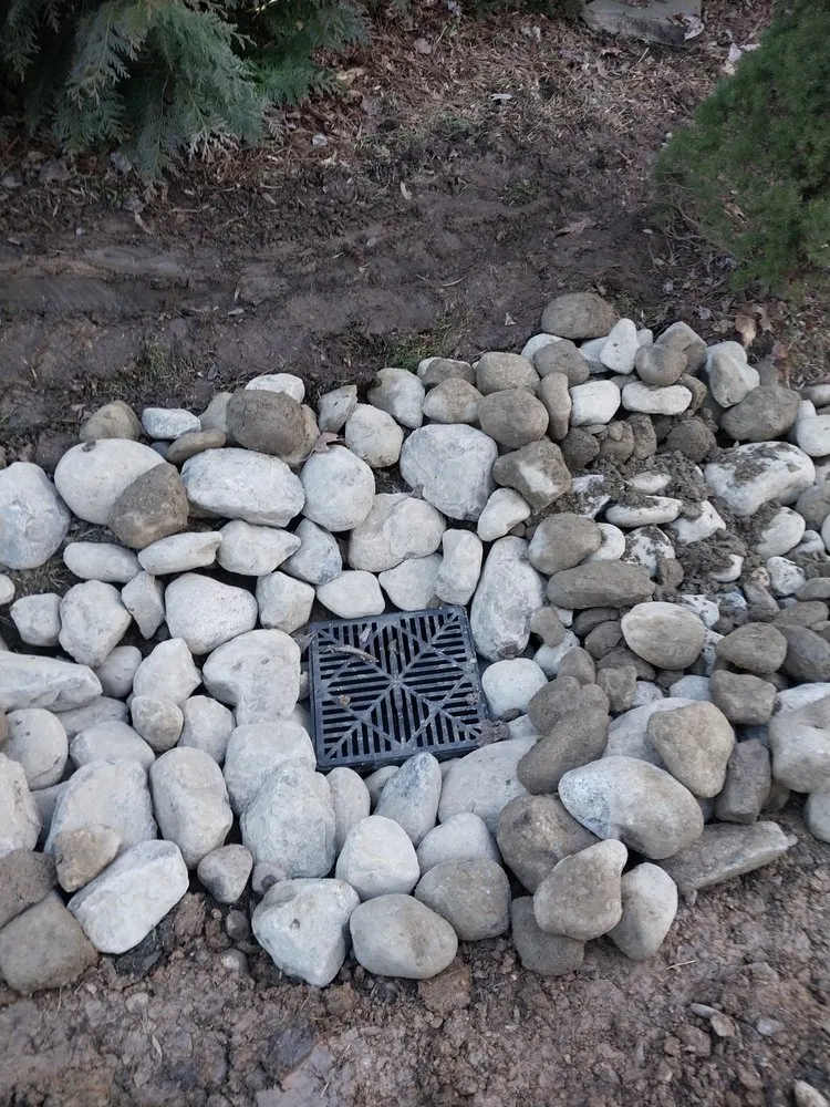 Slide of Match Grounds and Tree Service