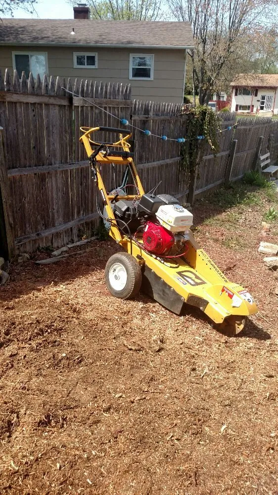 Slide of Match Grounds and Tree Service