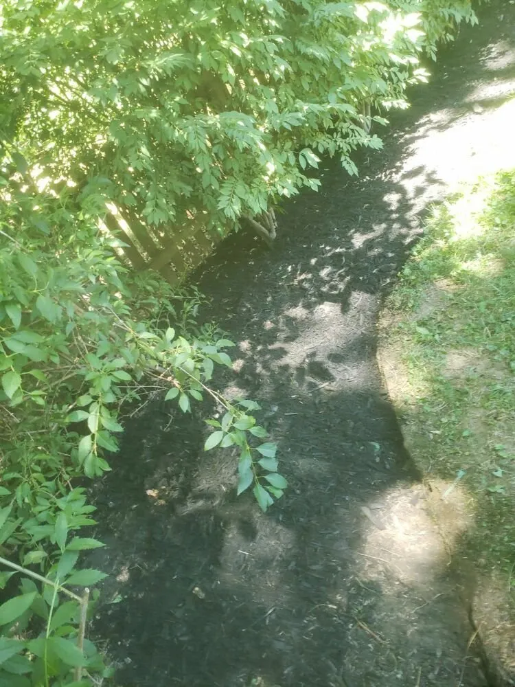 Slide of Match Grounds and Tree Service