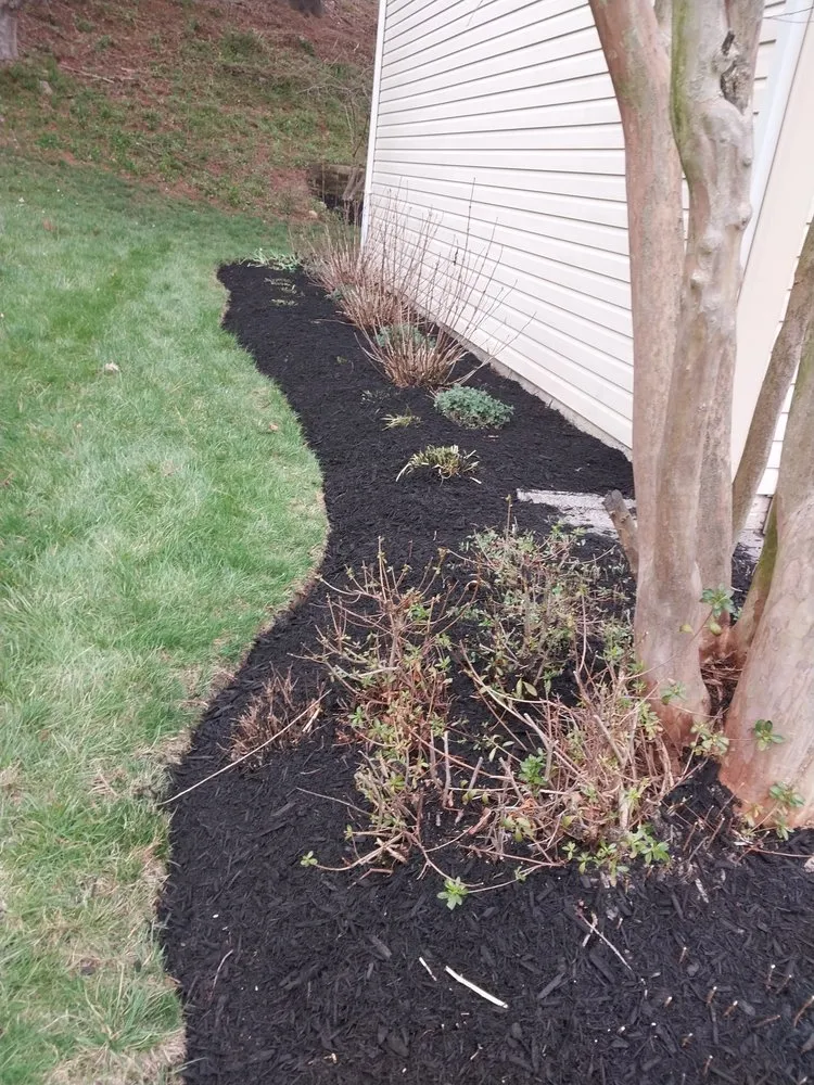 Slide of Match Grounds and Tree Service