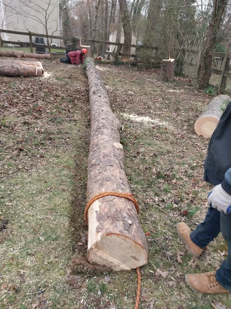 Slide of Match Grounds and Tree Service