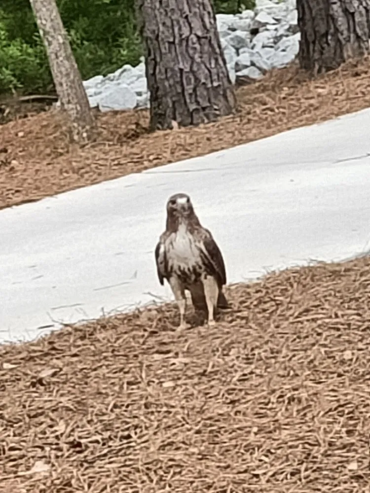 Slide of Mateo Roofing