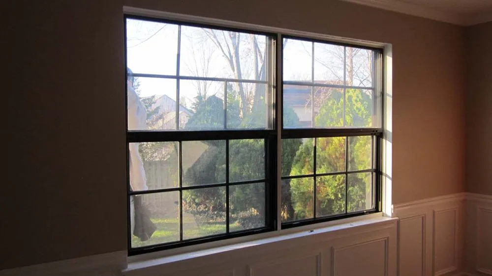 Slide of Matrix Remodeling