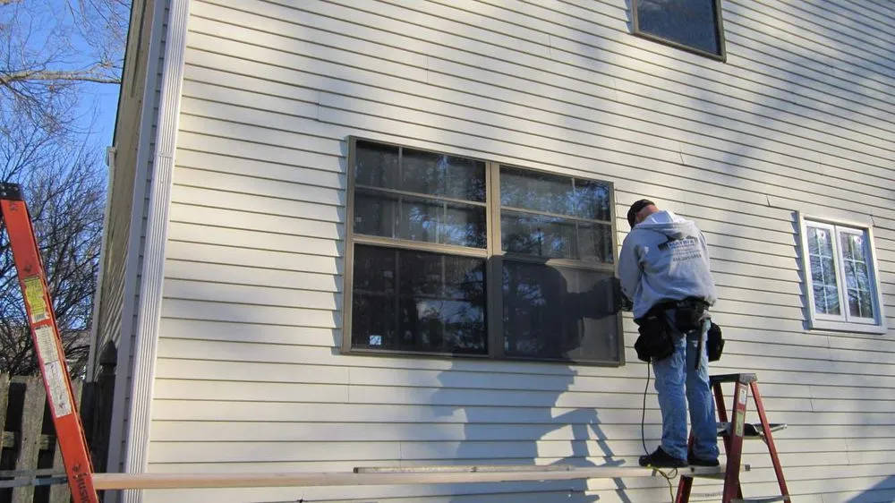 Slide of Matrix Remodeling