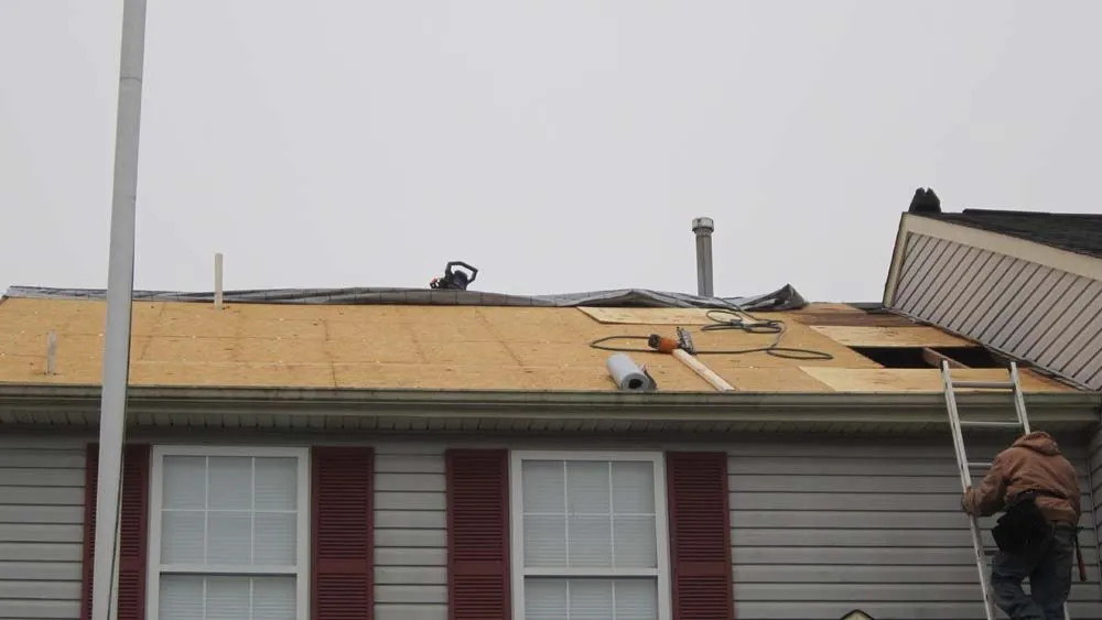 Slide of Matrix Remodeling