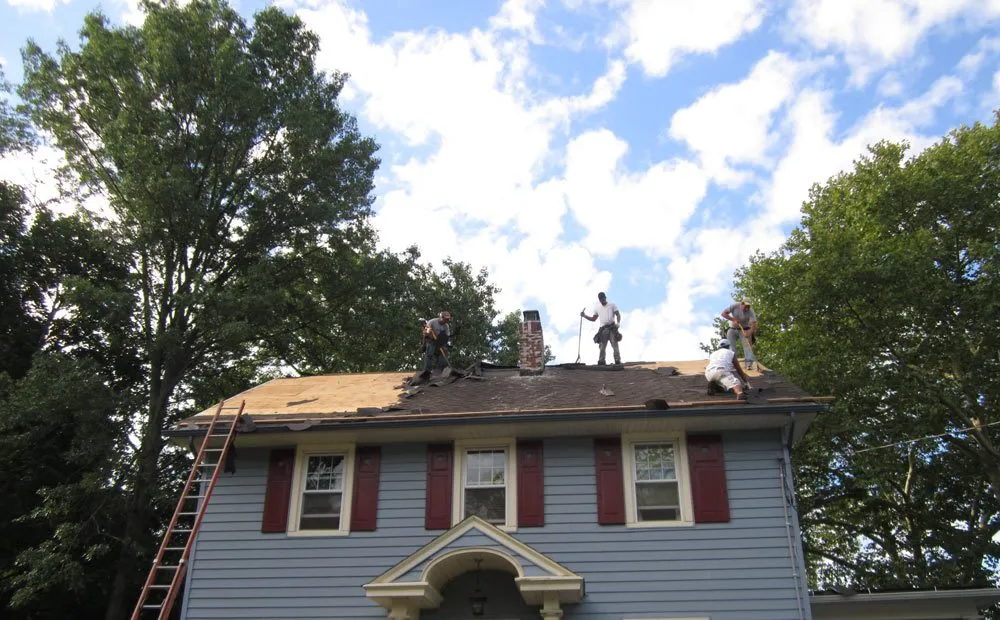 Slide of Matrix Remodeling