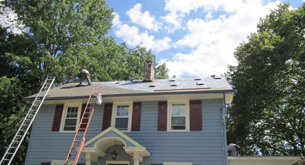 Slide of Matrix Remodeling