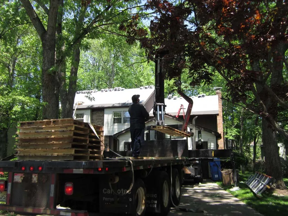 Slide of Matrix Remodeling