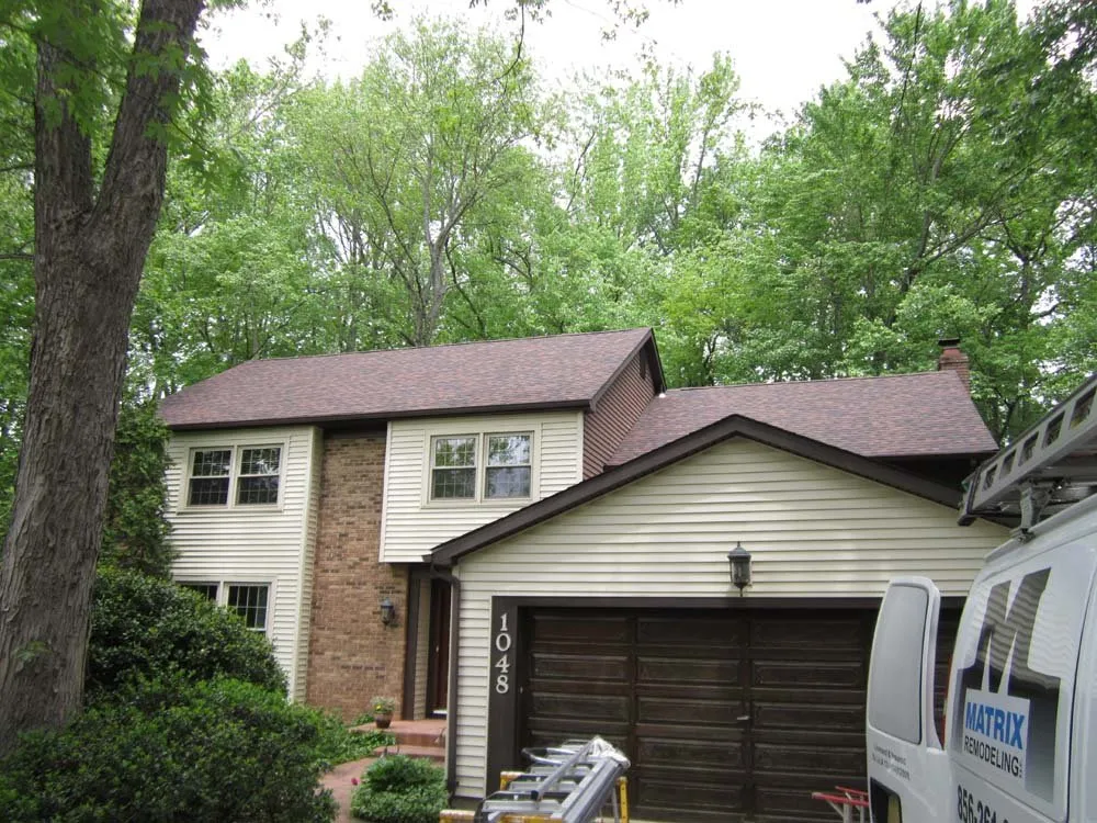 Slide of Matrix Remodeling