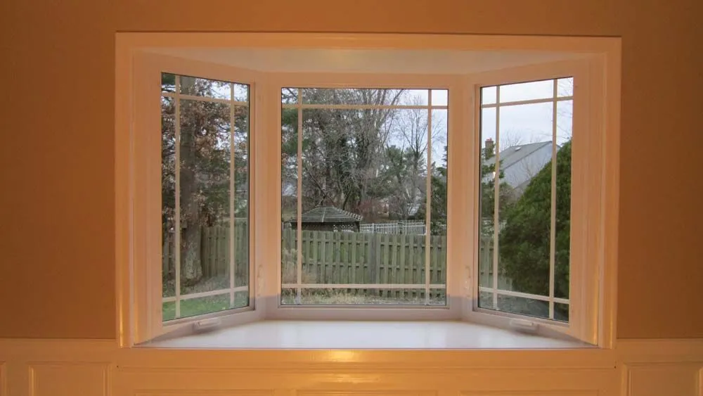 Slide of Matrix Remodeling