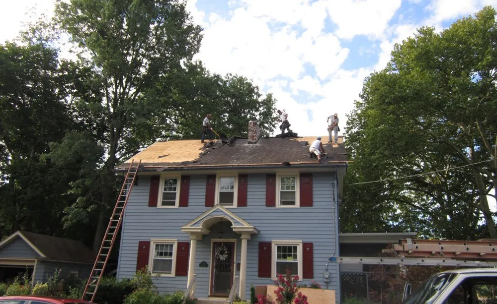 Slide of Matrix Remodeling