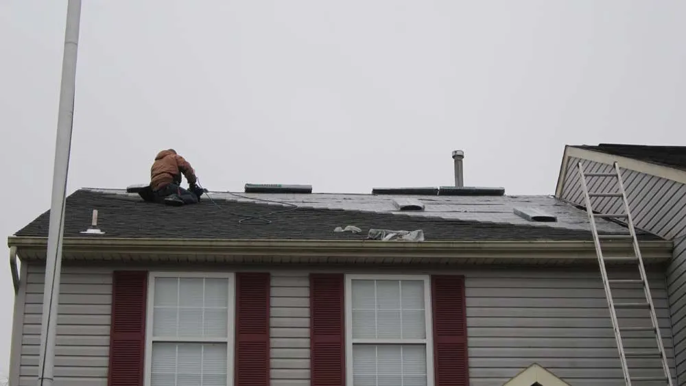 Slide of Matrix Remodeling