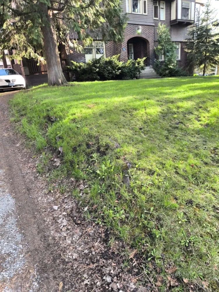 Slide of Matt The Handyman