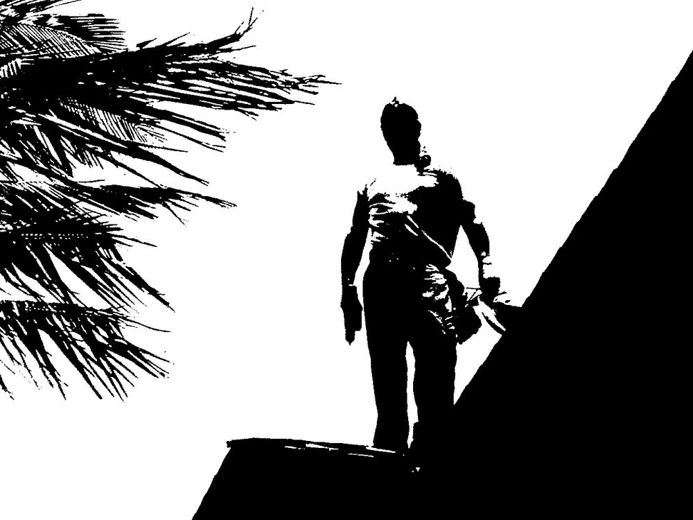 Slide of Maui Roofing